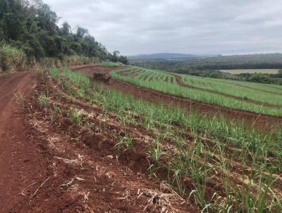 Stio para Venda, em Tamba, bairro 