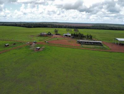 Fazenda para Venda, em Colorado do Oeste, bairro Zona Rural