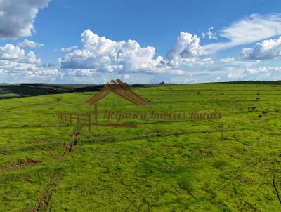 Fazenda para Venda, em Piraju, bairro rea Rural de Piraju