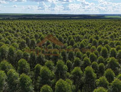 Fazenda para Venda, em Avar, bairro rea Rural de Avar