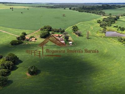 Fazenda para Venda, em Ourinhos, bairro rea Rural de Ourinhos