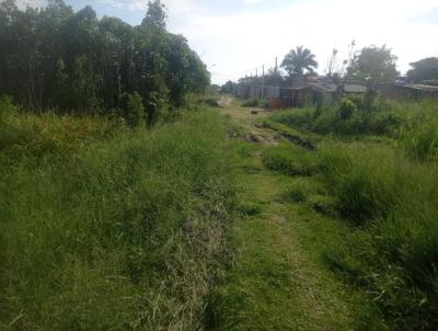 Terreno para Venda, em Itanham, bairro Jd. Palmeiras