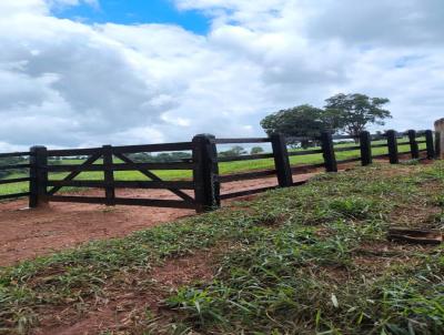 Fazenda para Venda, em Oliveira, bairro Zona Rural