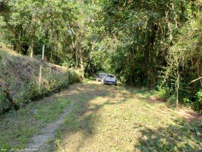 Terreno para Venda, em So Paulo, bairro Chcara Vista Alegre