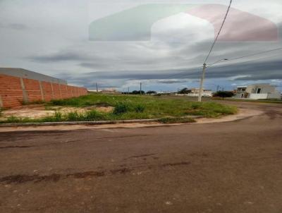 imagem-miniatura