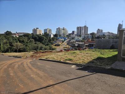 Terreno para Venda, em Carazinho, bairro LOEFF