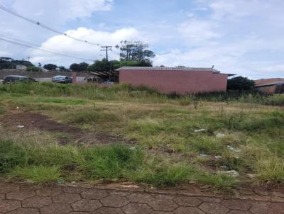 Terreno para Venda, em Palmas, bairro Lagoo
