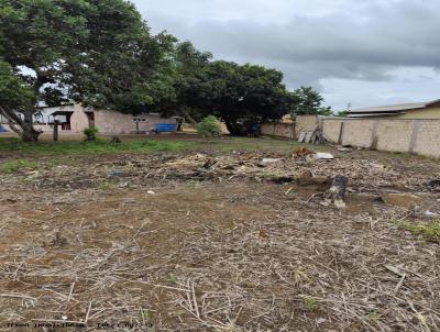 Terreno para Venda, em Guarant do Norte, bairro Bairro Industrial