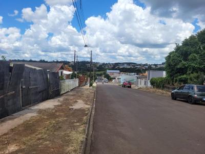 imagem-miniatura