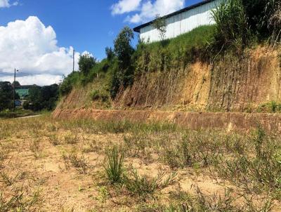 Terreno para Venda, em S�o Bento do Sul, bairro Serra Alta