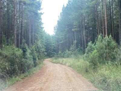 Fazenda para Venda, em Cruz Machado, bairro 