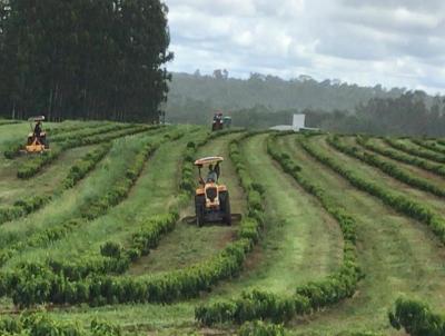 Fazenda para Venda, em São Paulo, bairro .