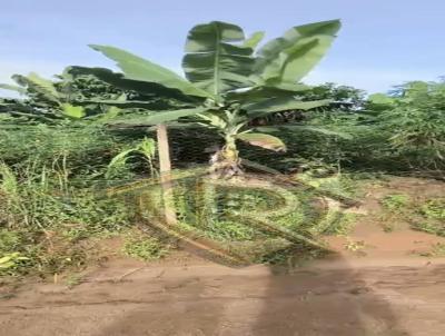 Chcara para Venda, em Cacoal, bairro rea Rural de Cacoal