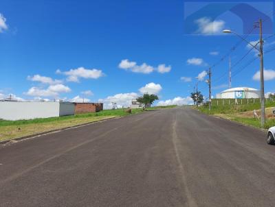 imagem-miniatura