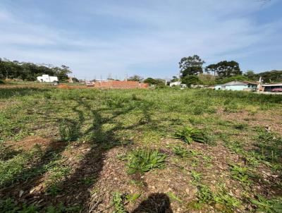 Terreno para Venda, em Canoinhas, bairro Alto da Tijuca