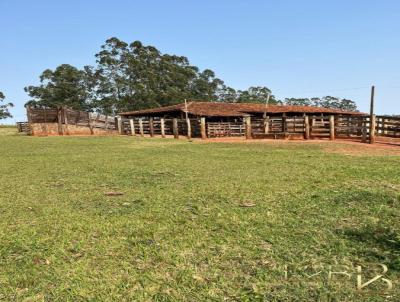 Fazenda para Venda, em Japor, bairro Zona Rural