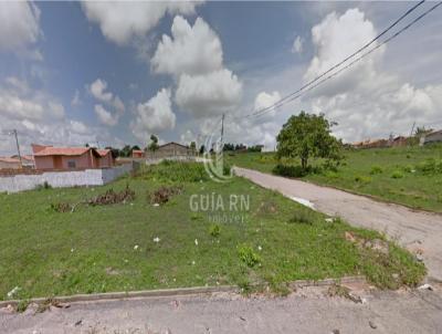 Terreno para Venda, em So Gonalo do Amarante, bairro Br