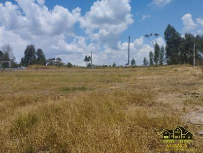 Terreno para Venda, em Biritiba-Mirim, bairro Biritiba Mirim