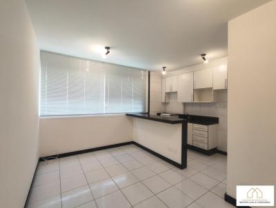 Apartamento para Locao, em Belo Horizonte, bairro Lourdes, 1 dormitrio, 1 banheiro, 1 vaga