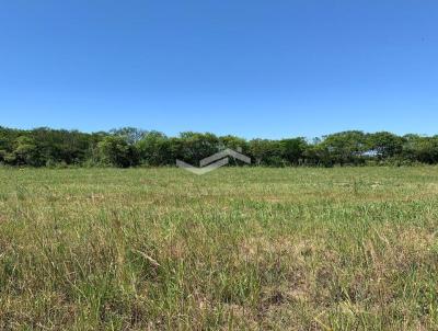 Terreno Industrial para Venda, em Pelotas, bairro Trs Vendas
