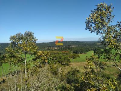 rea para Venda, em Pinho, bairro Bom Retiro
