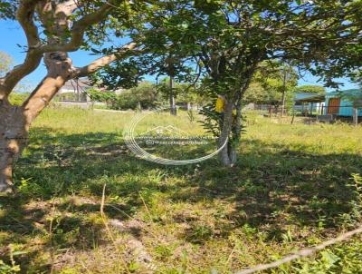 Terreno para Venda, em Santa Maria, bairro Boi Morto