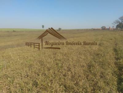 Stio para Venda, em Conchas, bairro rea rural de Conchas