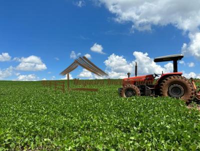 Fazenda para Venda, em Avar, bairro rea Rural de Avar