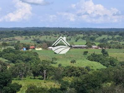 Fazenda para Venda, em Aparecida do Rio Negro, bairro Região muito produtiva