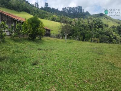 Stio para Venda, em Alfredo Wagner, bairro Barro Preto, 3 dormitrios, 1 banheiro, 1 vaga