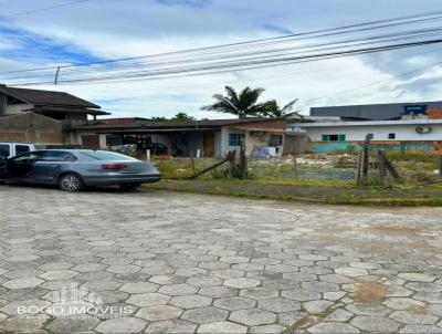 Terreno para Venda, em Cambori, bairro Areias