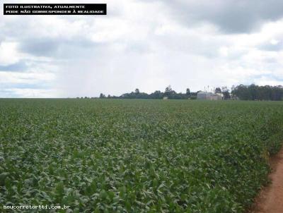 Fazenda para Venda, em Santo Antnio do Leste, bairro ZONA RURAL