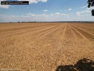 Fazenda para Venda, em Sinop, bairro ZONA RURAL