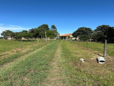 Chcara para Venda, em Venncio Aires, bairro Linha Hansel, 3 dormitrios, 3 banheiros, 2 sutes, 2 vagas