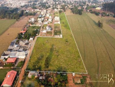 Terreno para Venda, em Mundo Novo, bairro Centro