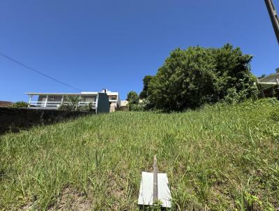 Terreno para Venda, em Montenegro, bairro So Joo