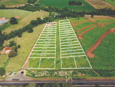 Terreno para Venda, em Mundo Novo, bairro Centro