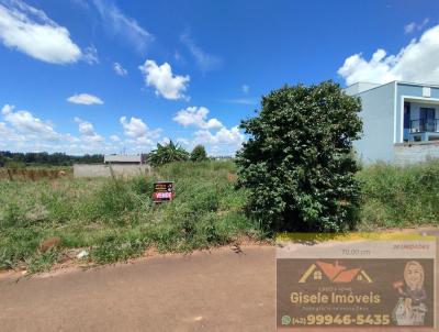 Terreno para Venda, em Guarapuava, bairro Joo Gelinski