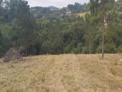 Terreno para Venda, em Jarinu, bairro Maracan