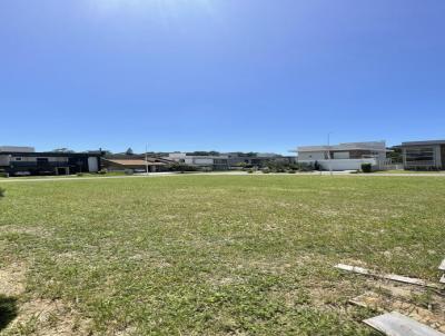 Terreno para Venda, em Florianópolis, bairro São João do Rio Vermelho