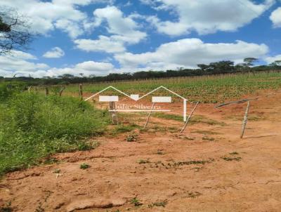 Fazenda para Venda, em Oliveira, bairro Zona Rural