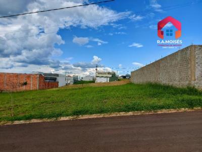 imagem-miniatura