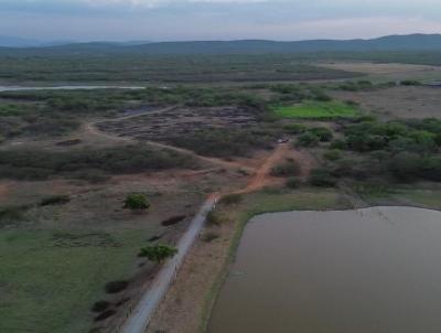 Stio para Venda, em Patos, bairro rea Rural de Patos