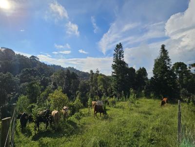 Terreno para Venda, em Campo Alegre, bairro Laranjeiras