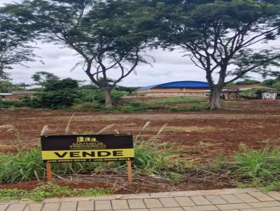 Lote para Venda, em Cruzeiro do Iguau, bairro centro