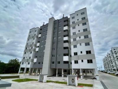 Apartamento para Venda, em Palho�a, bairro Pedra Branca, 2 dormit�rios, 2 banheiros, 1 su�te, 1 vaga