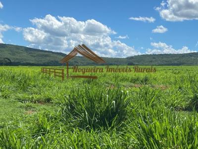 Fazenda para Venda, em Quirinpolis, bairro rea rural