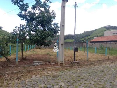 Lote para Venda, em Itajub, bairro Varginha