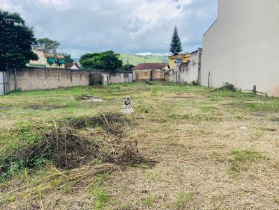 Lote para Venda, em Itajub, bairro Avenida