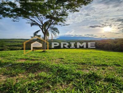 Terreno Rural para Venda, em Catas Altas, bairro Paciencia